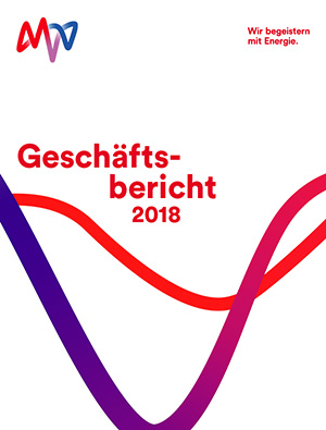 Geschäftsbericht 2018