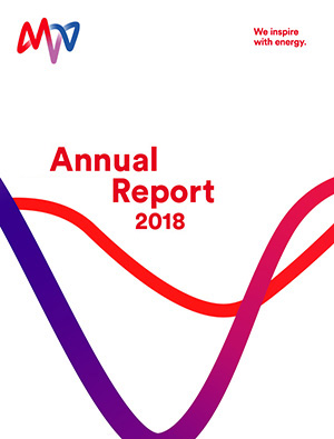 Annual Report 2017