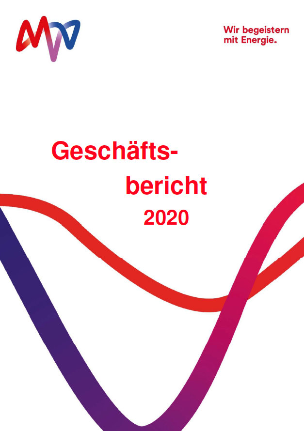 Geschäftsbericht 2020